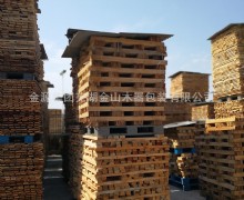 企業環境展示